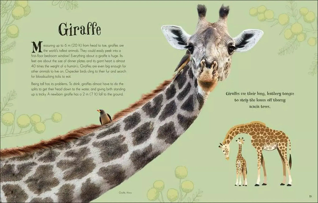 An Anthology of Intriguing Animals Children&