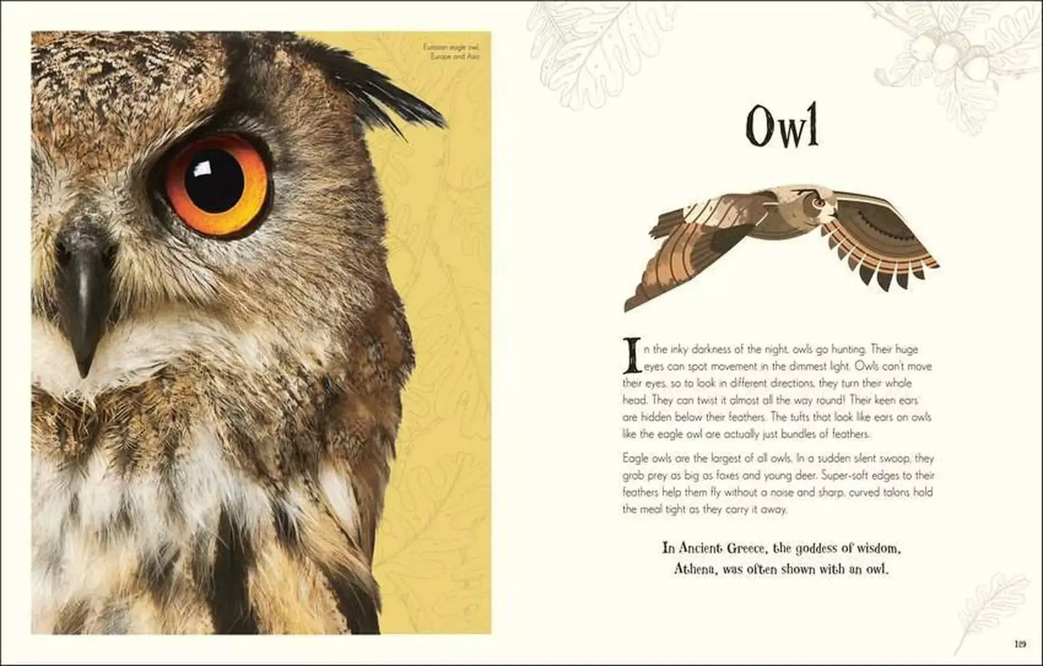 An Anthology of Intriguing Animals Children&