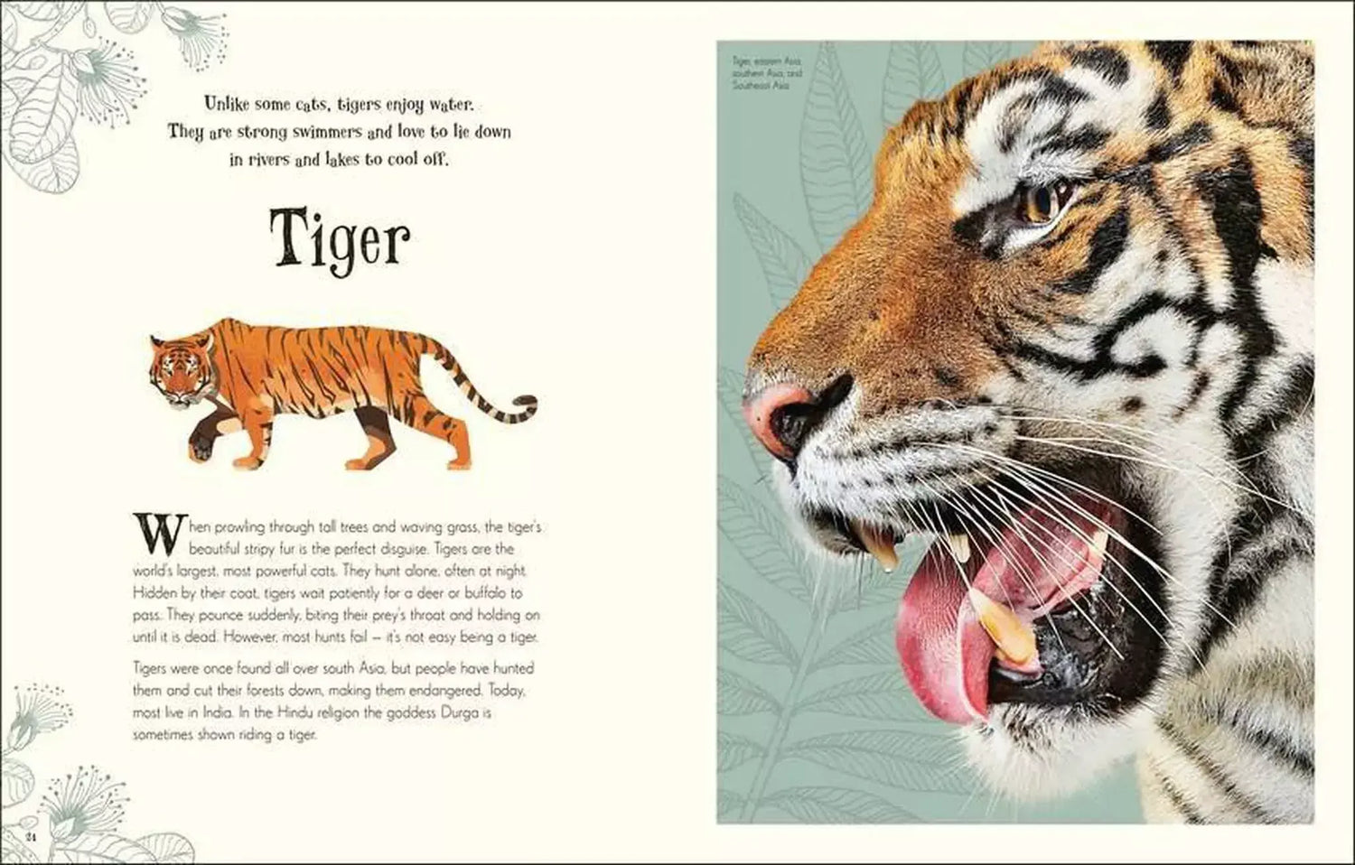 An Anthology of Intriguing Animals Children&