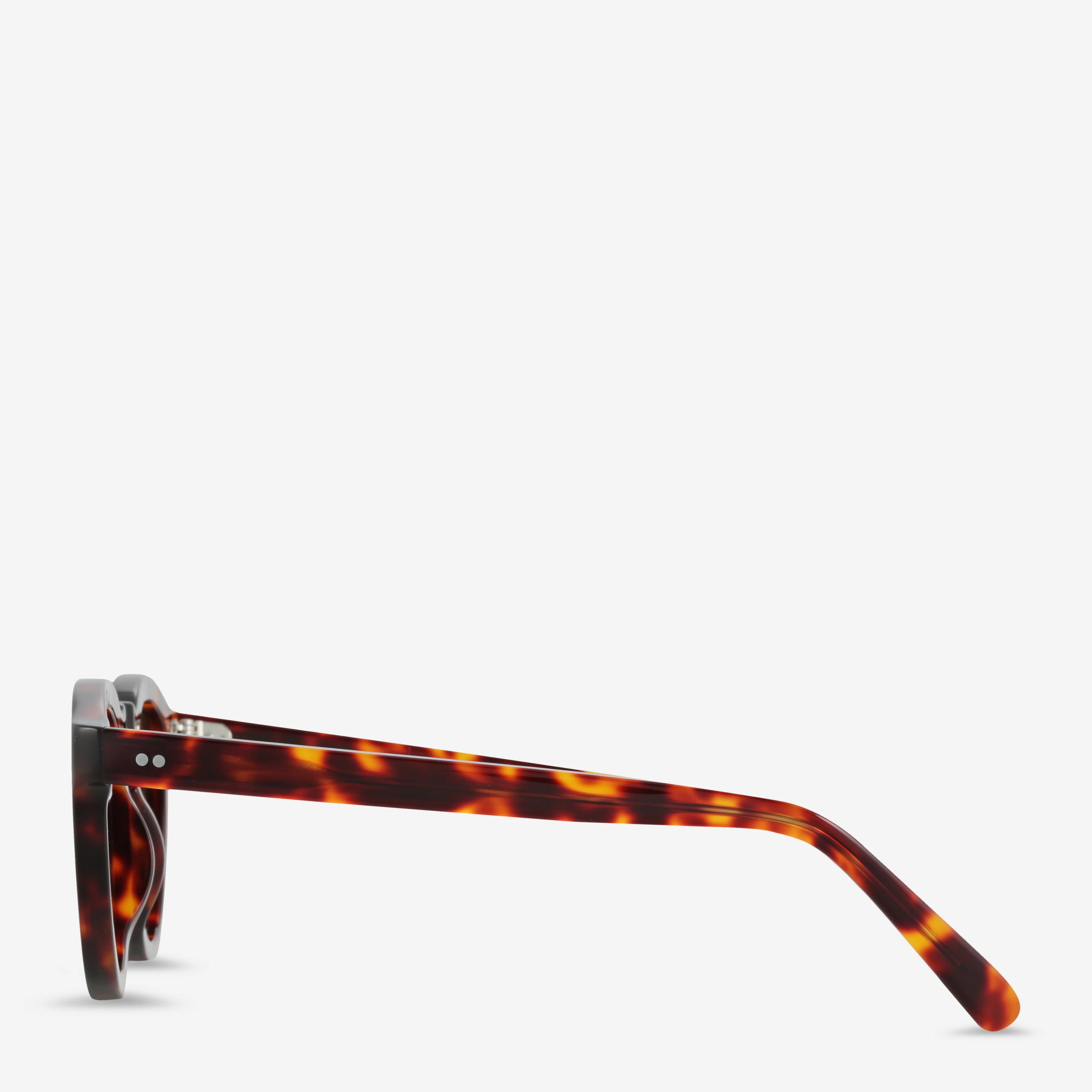 Status Anxiety Detached Sunglasses in Brown Tort