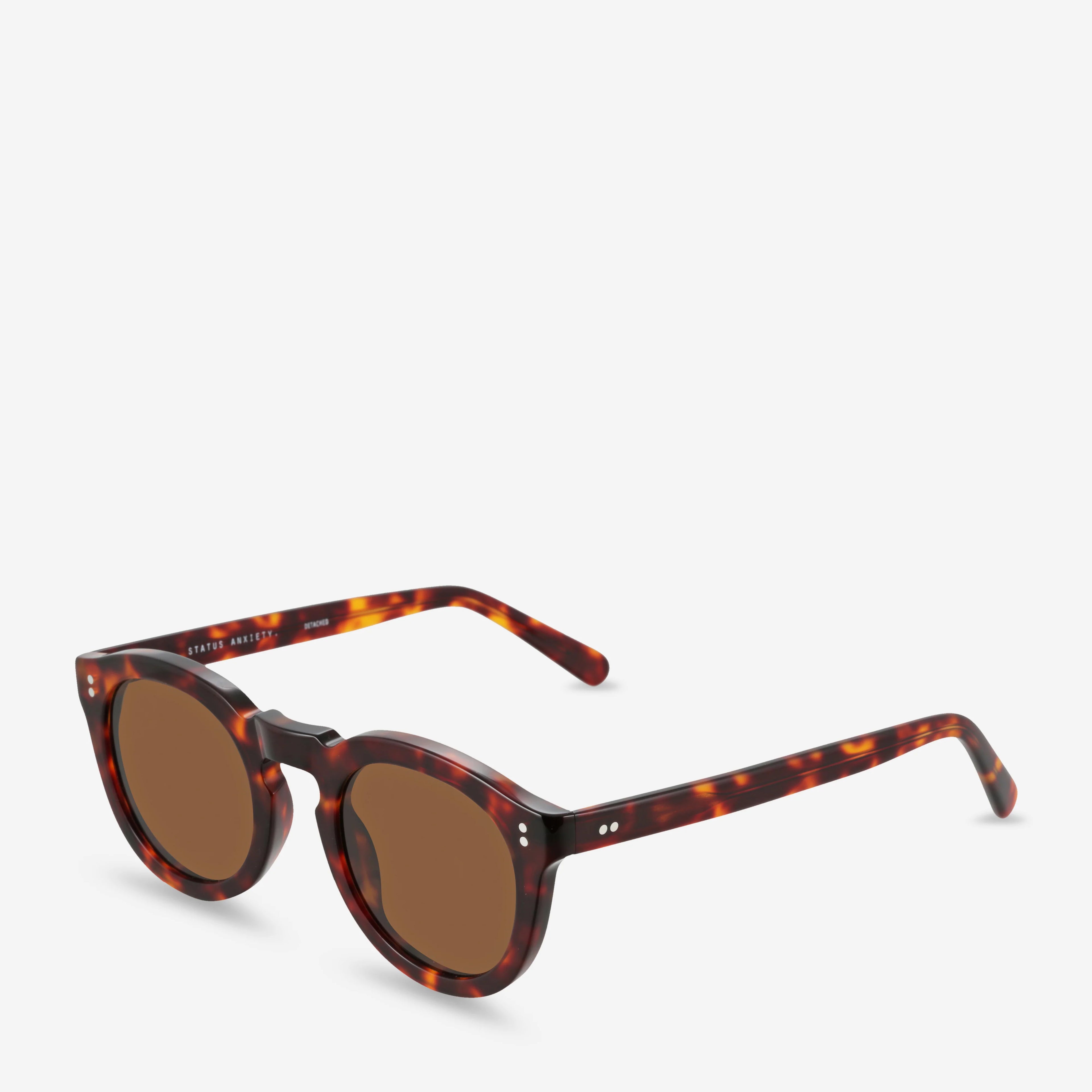 Status Anxiety Detached Sunglasses in Brown Tort
