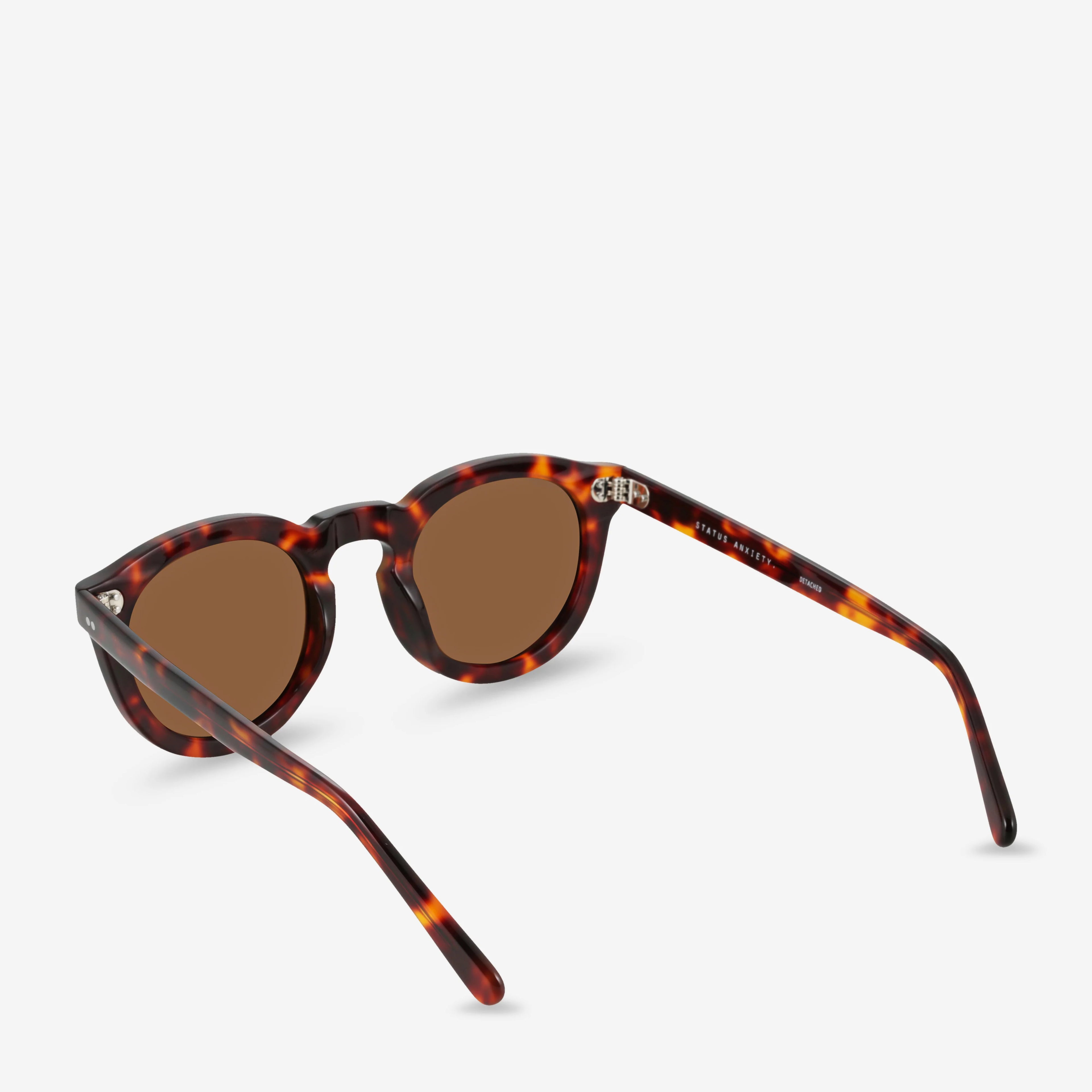 Status Anxiety Detached Sunglasses in Brown Tort