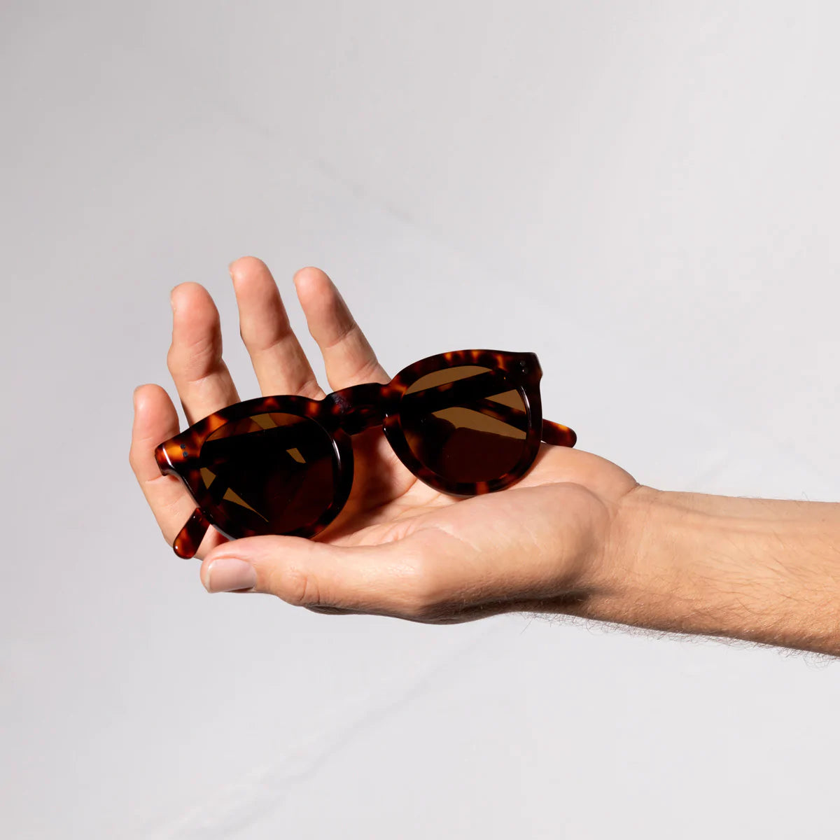 Status Anxiety Detached Sunglasses in Brown Tort