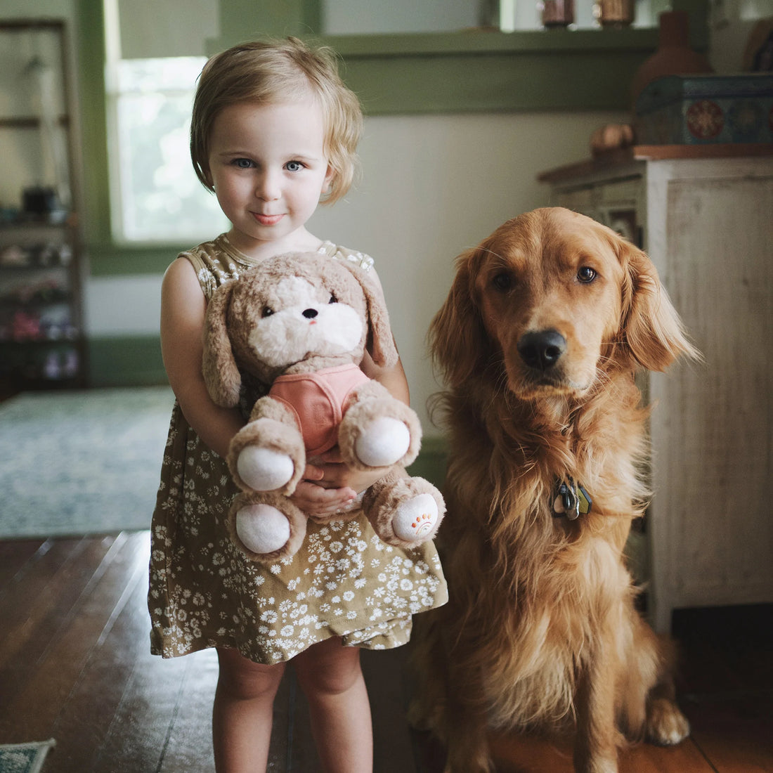 Dinkum Dog Honey by Olli Ella - Stuffed Toy Dog