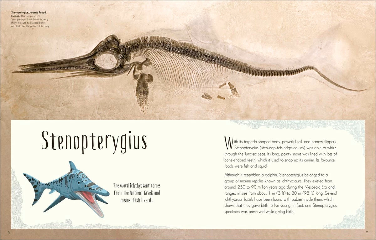 Dinosaurs and other Prehistoric Life Children&