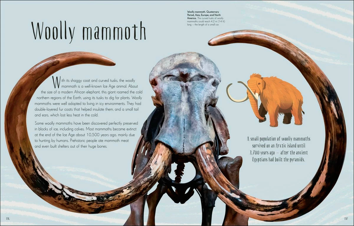 Dinosaurs and other Prehistoric Life Children&