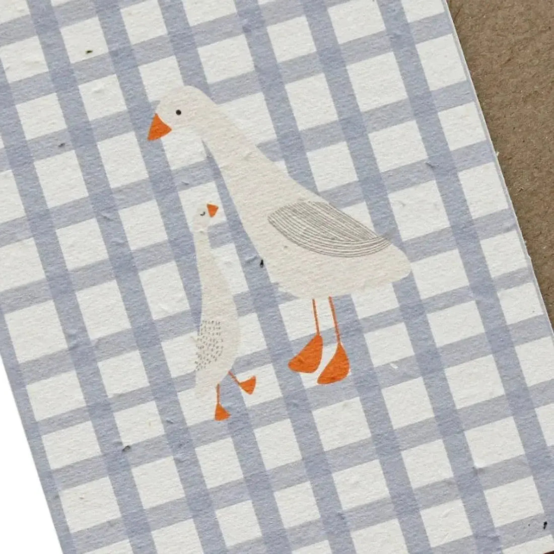 Seeded Plantable Greeting Card by Hello Petal - Cards That Grow Flowers - Ducks 