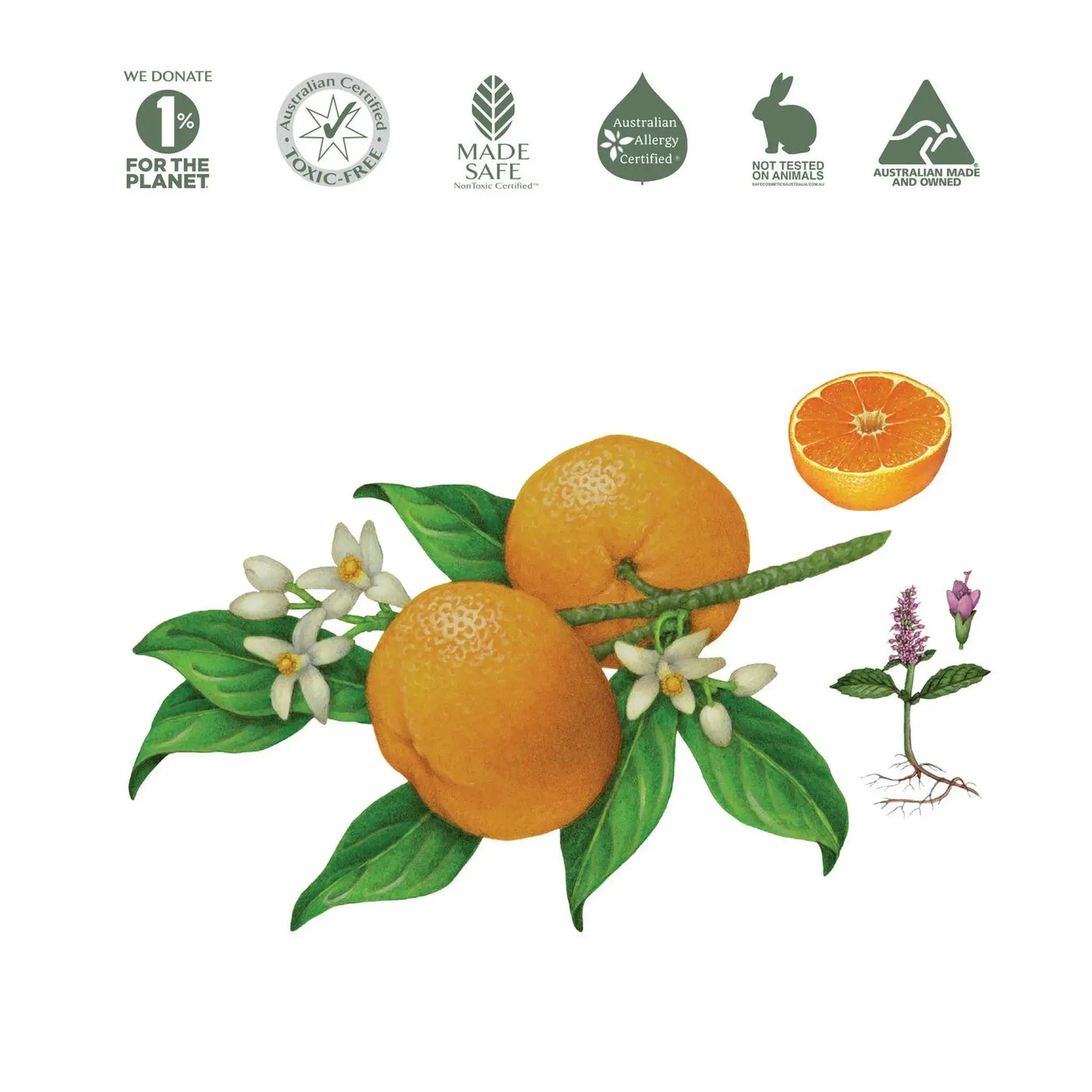 Natural Floor Cleaner by Koala Eco - Mandarin &amp; Peppermint (1L).
