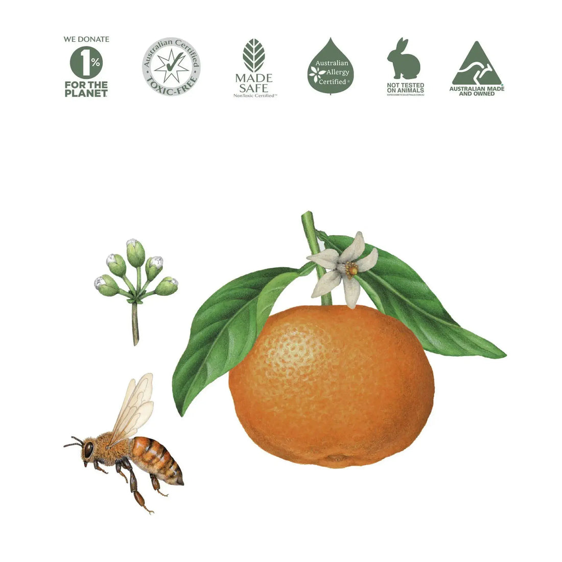 Natural Fruit and Vegetable Wash by Koala Eco - Mandarin (500ml)