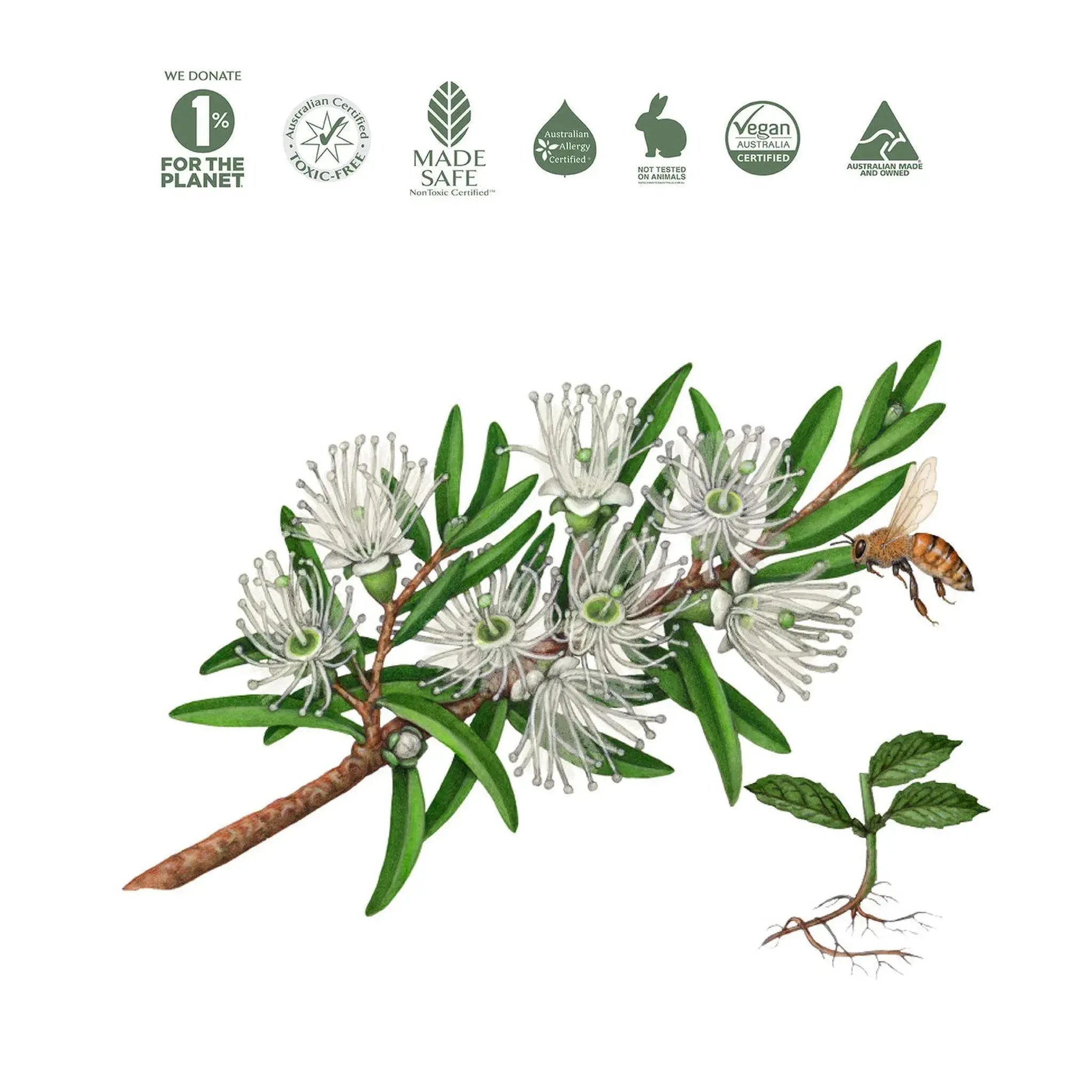 Natural Hand Wash by Koala Eco - Rosalina &amp; Peppermint (500ml)