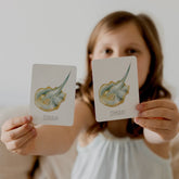 Ocean Snap & Go Fish Card Kids Game by Modern Monty