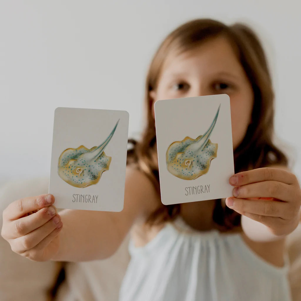 Ocean Snap &amp; Go Fish Card Kids Game by Modern Monty