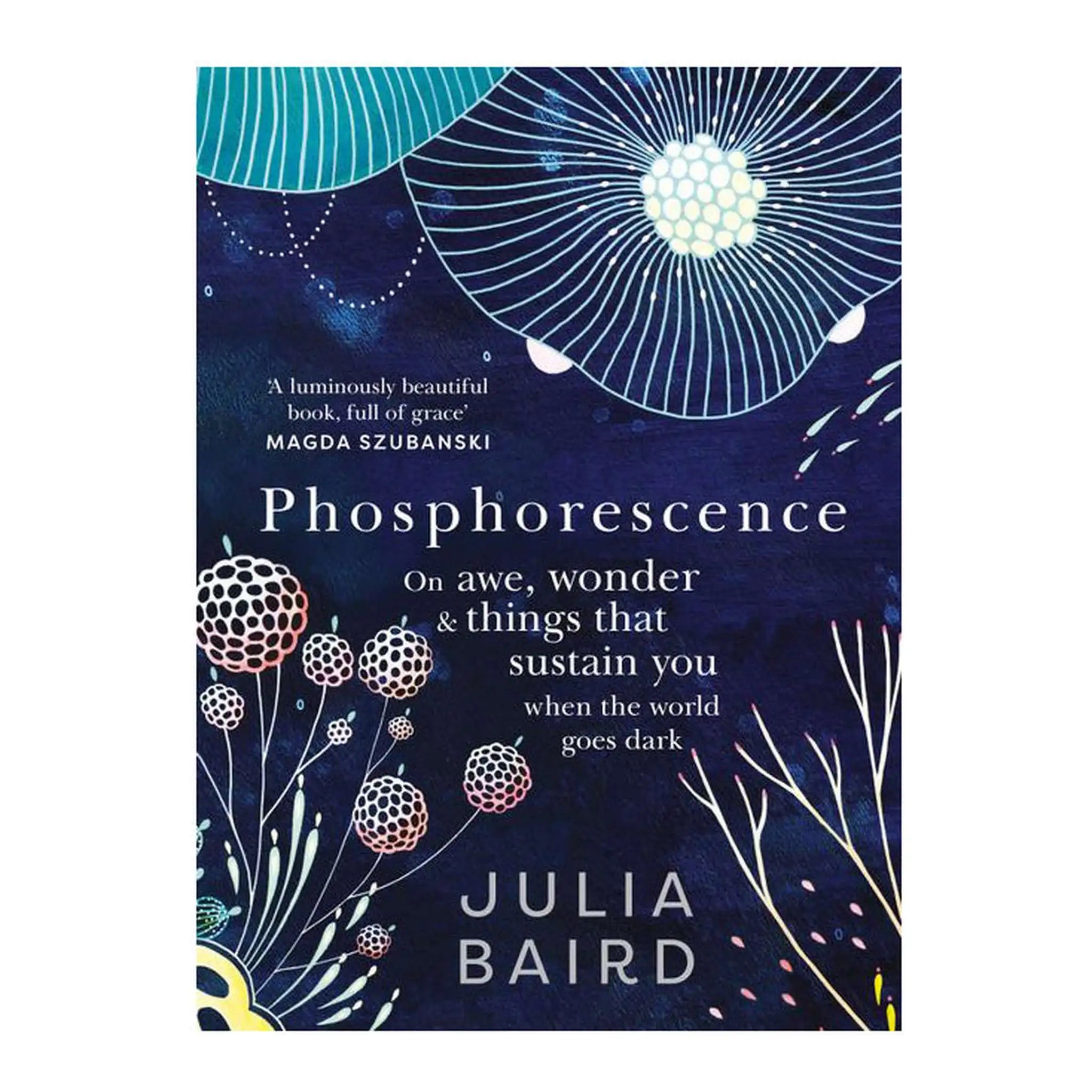 Phosphorescence: On Awe, Wonder And Things That Sustain You When The World Goes Dark 