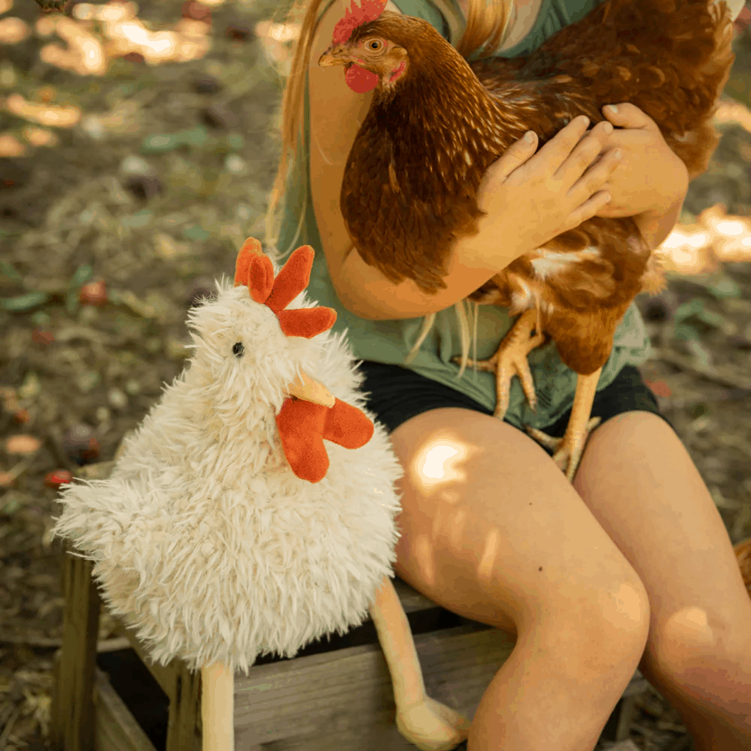Roy the Rooster by Nana Huchy - Teddy Toy