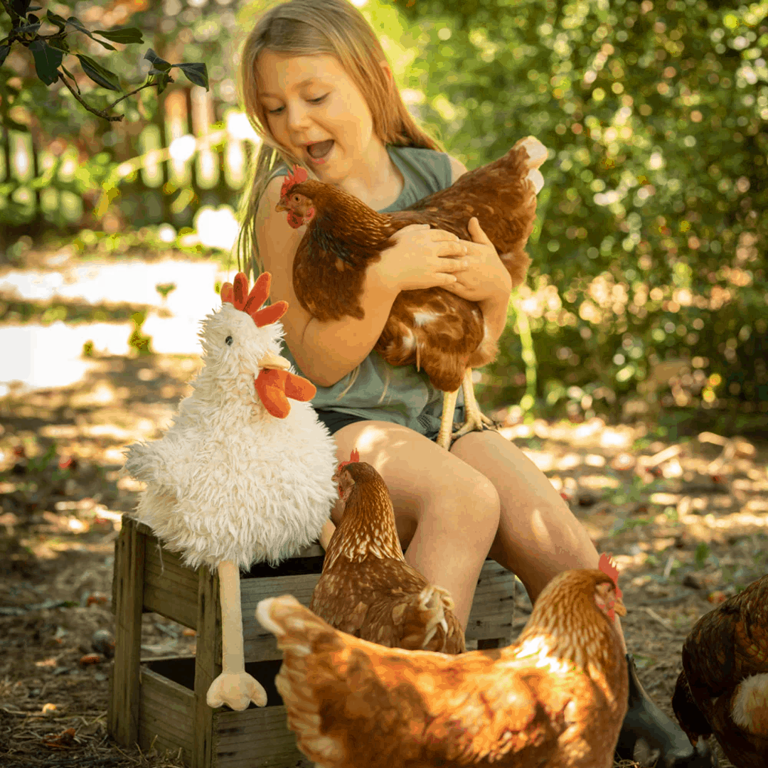 Roy the Rooster by Nana Huchy - Cuddle Toy