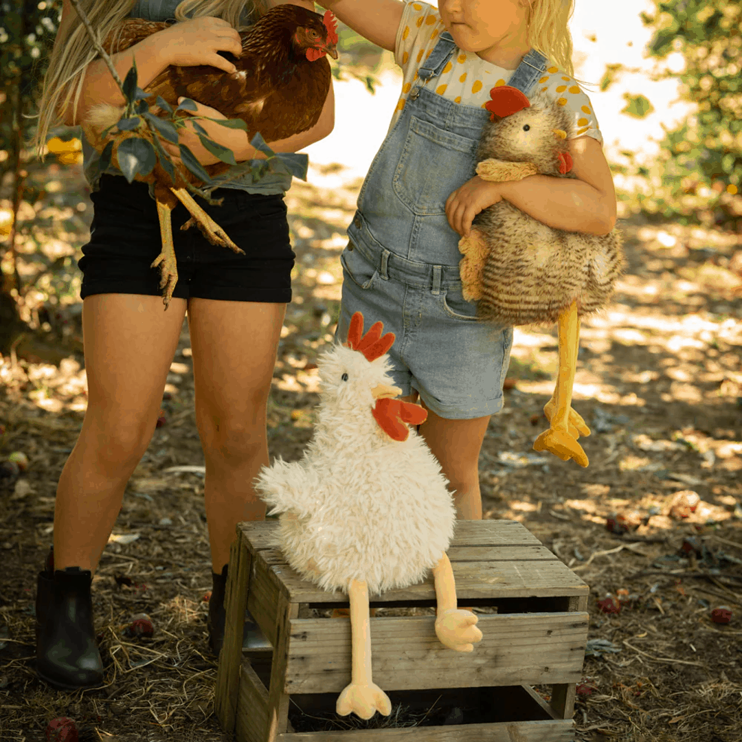 Roy the Rooster by Nana Huchy - Plush Cuddle Toy