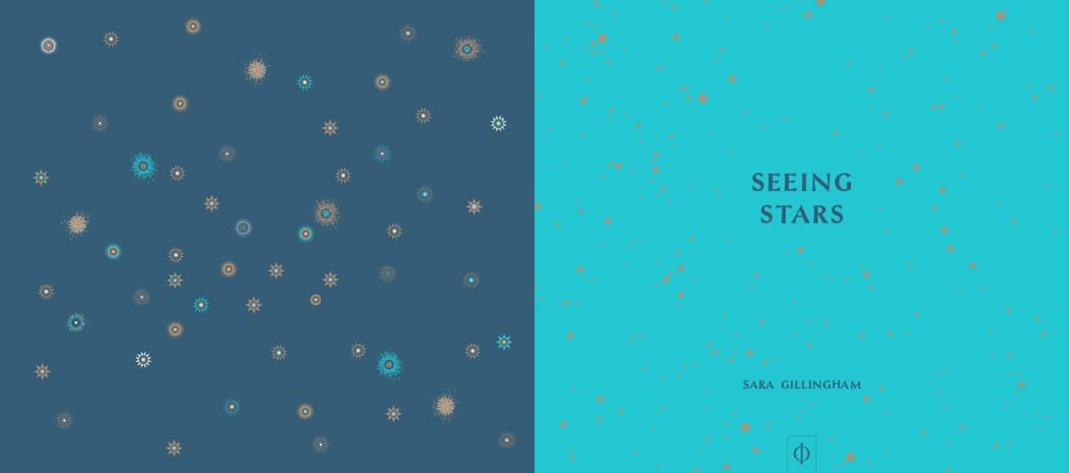 Seeing Stars by Sara Gillingham; A Complete Guide to the 88 Constellations