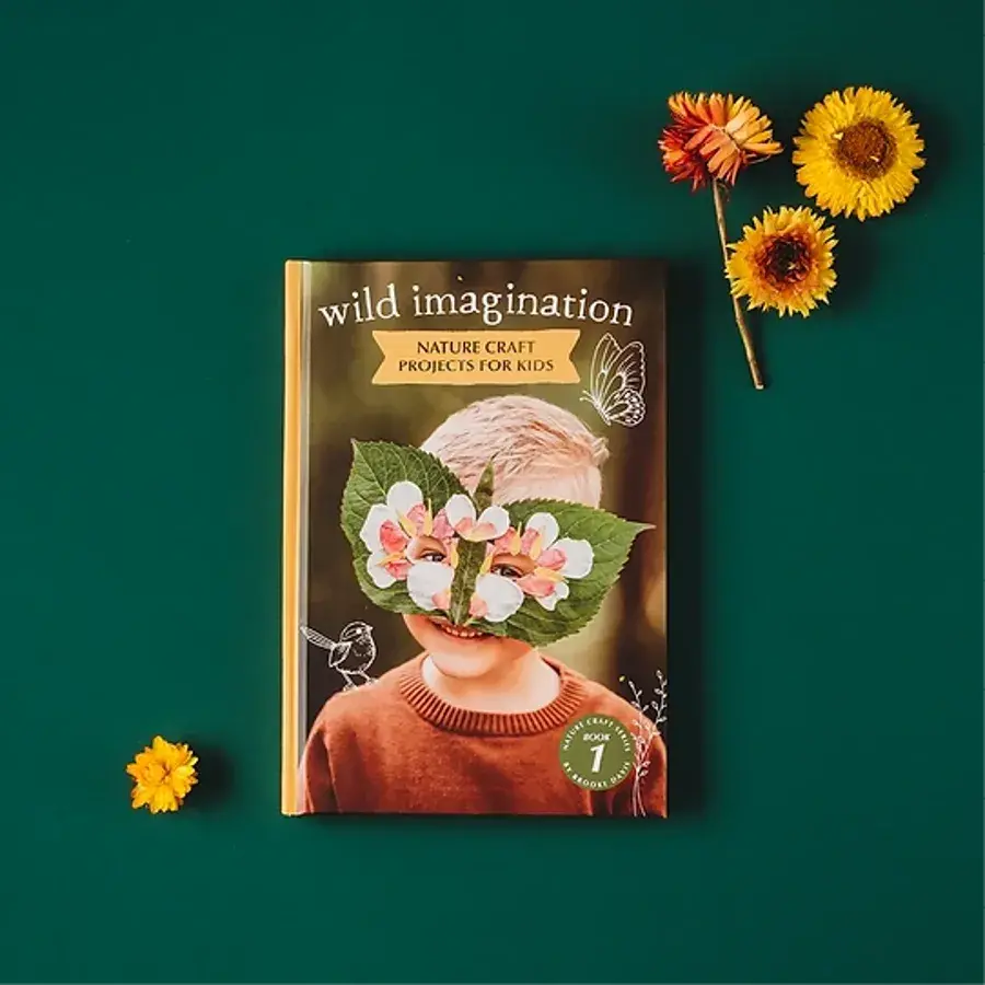 Your Wild Imagination Book Nature Craft Projects for Kids